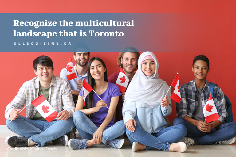 Recognize the multicultural landscape that is Toronto