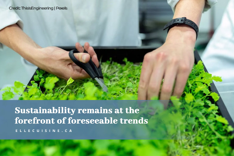 Sustainability remains at the forefront of foreseeable trends